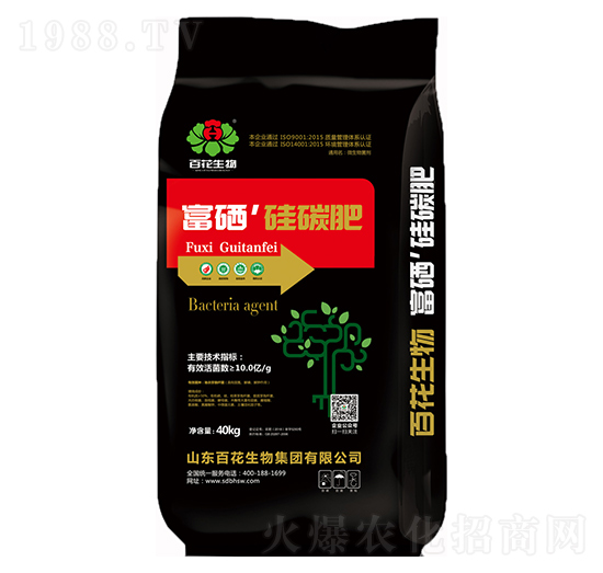 10�|��������̼��-�ٻ�����