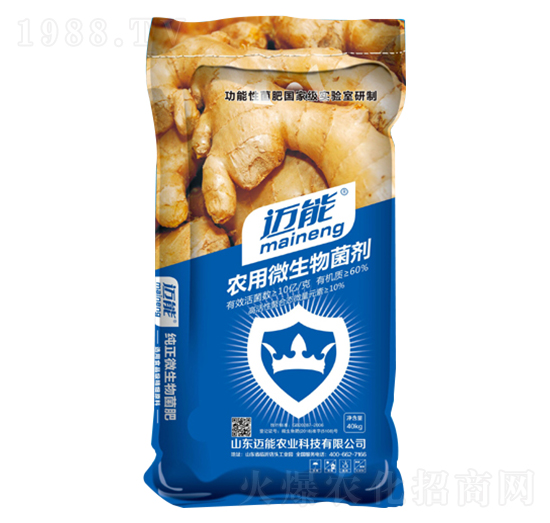 大姜專用農用微生物菌劑-邁能農業(yè)