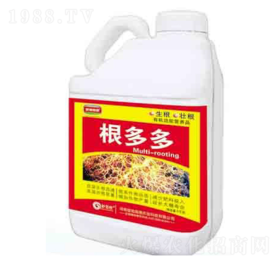 �����  ����