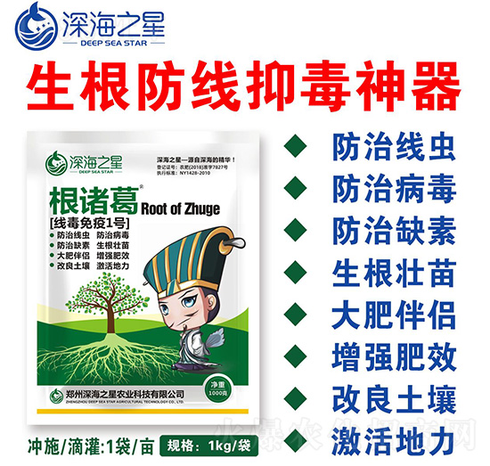 線毒免疫1號(hào)-根諸葛-深海之星
