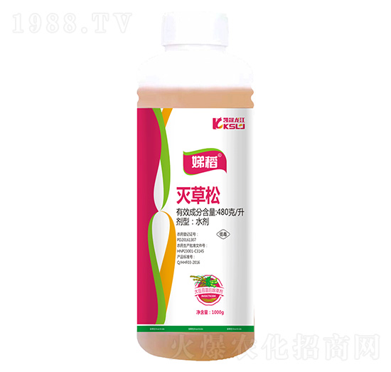 480��ÿ�������-淵�-�P������