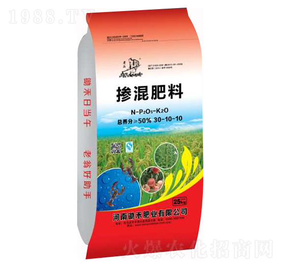 �������30-10-10-�z�̷ʘI(y��)