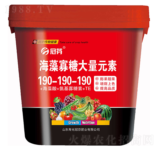 ������Ǵ���Ԫ��190-190-190+������+����������+TE �ڷ�