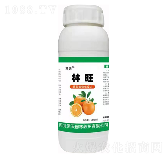 林旺 常天