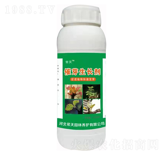 催芽生長劑 常天