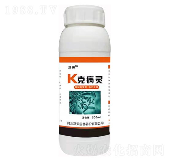 K克病靈 常天