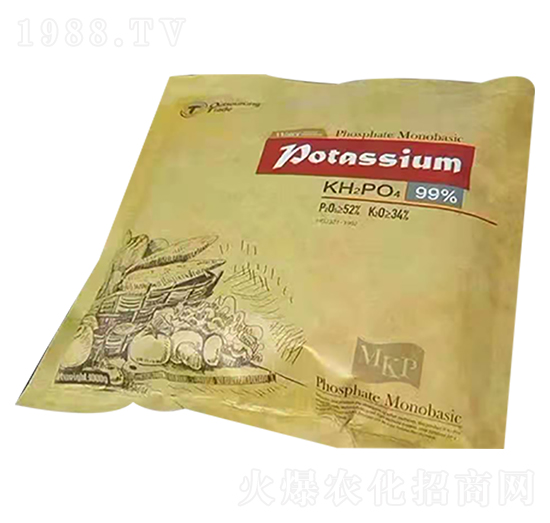 �������� ��ǧ�t