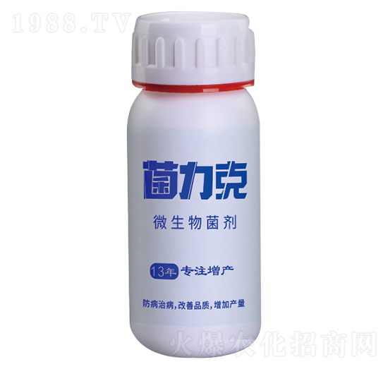 ΢������� ������ ����