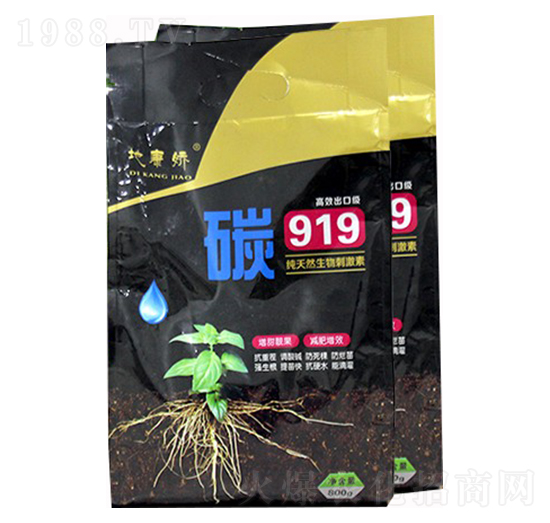 ΢����̼�� ̼919 ����