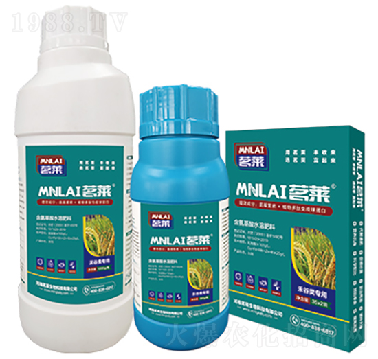 �̹�����~���-���R����