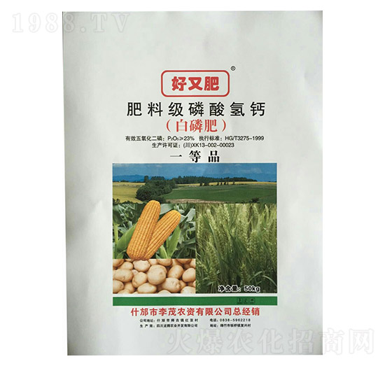 ���ϼ�(j��)������} ��ï�r(n��ng)�Y