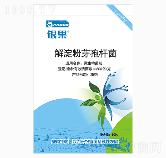 解淀粉芽孢桿菌-銀果-鼎微生物