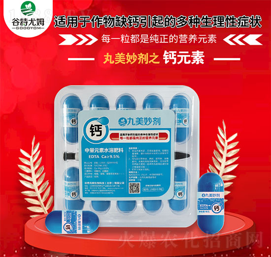 �����-�}-������ķ