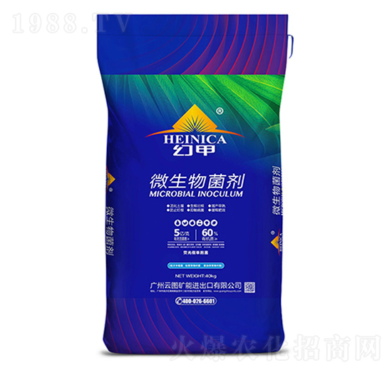 ΢�������-�ü�-�ƈD�V��