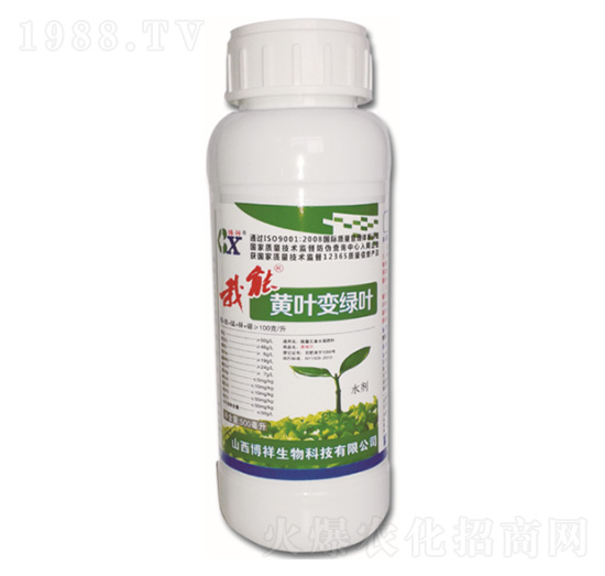 我能黃葉變綠葉-博祥生物