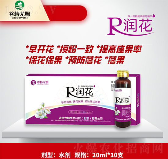 ����-�л������������������A���仨��-������ķ