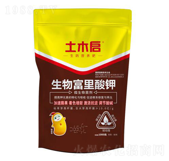 ���︻����� ��ľ������