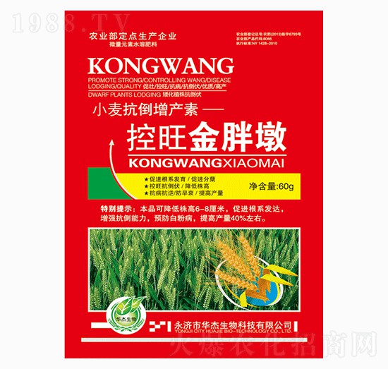 控旺金胖墩-華杰生物