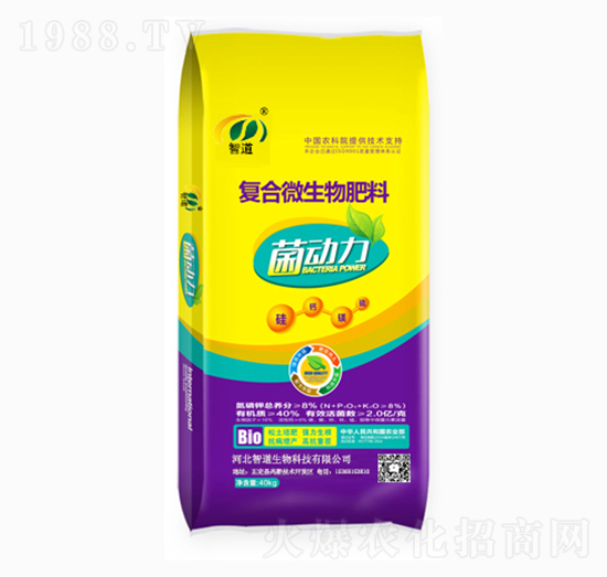 �ͺ�΢�������-������-�ǵ�