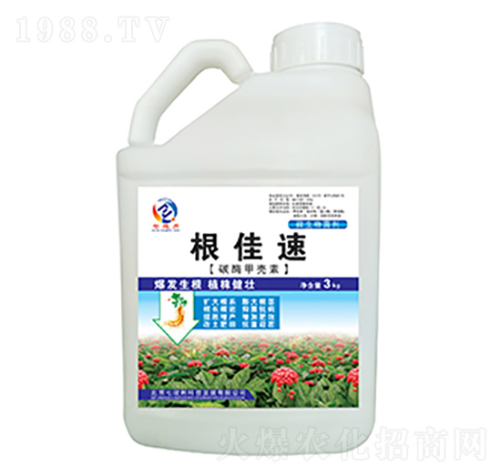 碳酶甲殼素-根佳速-七竣州