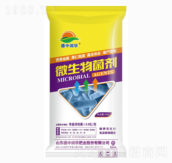 40kg΢�������-���Н��A