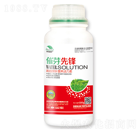 荼葉營(yíng)養(yǎng)活力素-催芽先鋒-圣金肥業(yè)