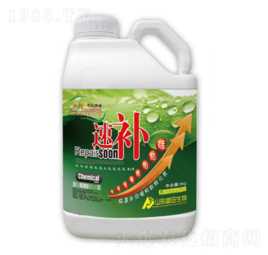 速補(bǔ)-盛田生物