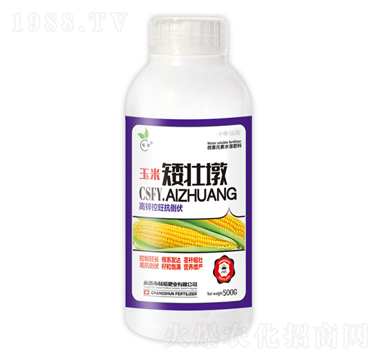 500g玉米矮壯墩-暢瞬