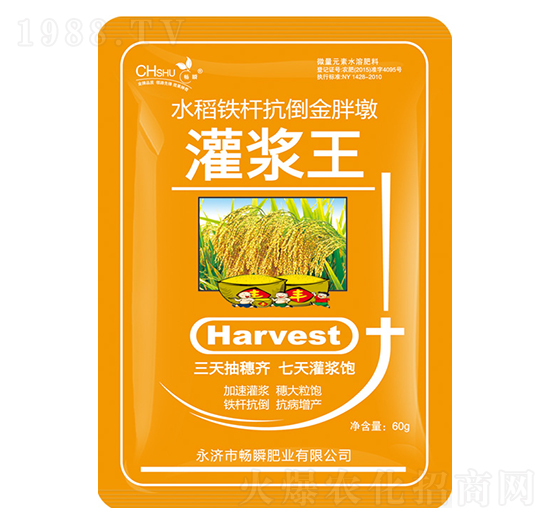 灌漿王-暢瞬