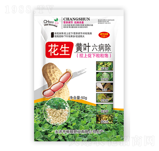 花生黃葉六病除-暢瞬