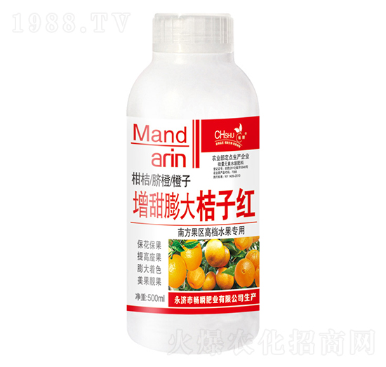 增甜膨大桔子紅-暢瞬