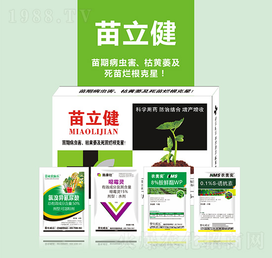 苗立健-萱化威遠