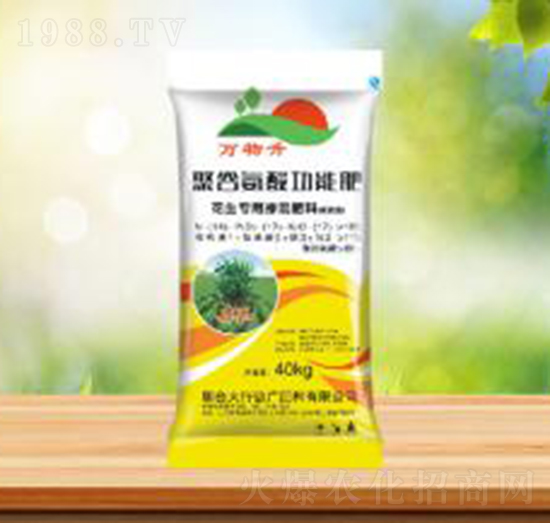 ������(zhu��n)�þ۹Ȱ��Ṧ�ܷ�-ʢ�A�r(n��ng)�I(y��)