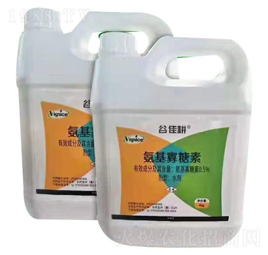 ����������-�ȼѸ�-�S��{˹