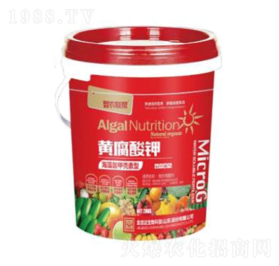 �S�����-���_(d��)