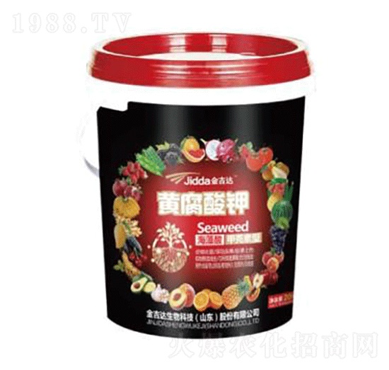 �S����⛣�Ͱ��-���_