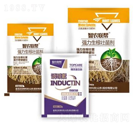 �������焩-���_(d��)