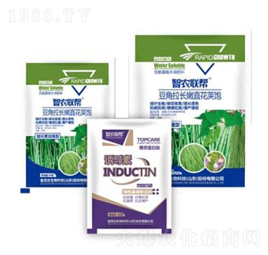 �������L��ֱ���v�-���_(d��)