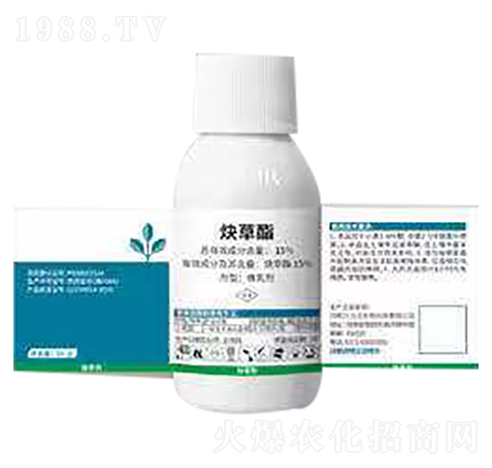 15%Ȳ����-ؐ����