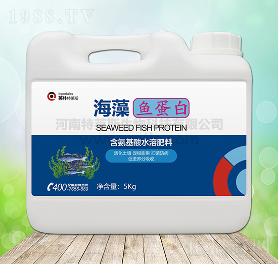 5kg�����~����-Ӣ�����R˹