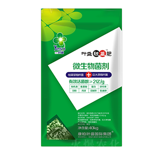 葉盛碳基肥-葉盛生物