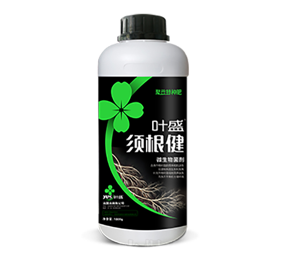 須根健-葉盛生物