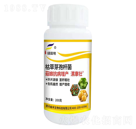 菇娘抗病增產(chǎn)肥-漯康壯