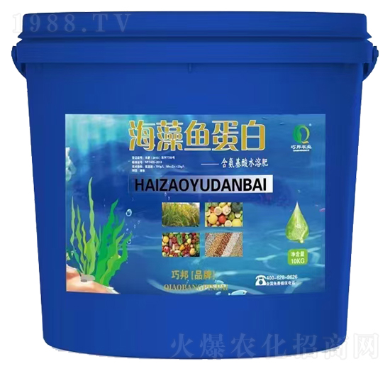 �����~(y��)����-�ɰ��r(n��ng)�I(y��)