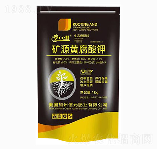 �VԴ�S�����-̩��ʘI(y��)