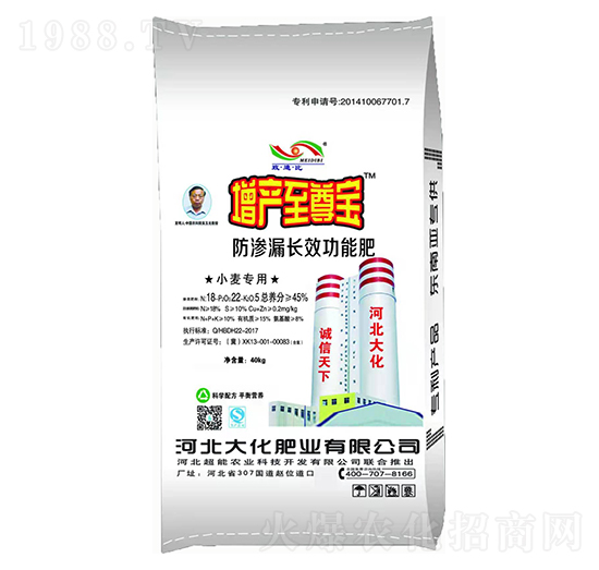 小麥專用防滲漏長效功能肥-增產(chǎn)寶-大化肥業(yè)