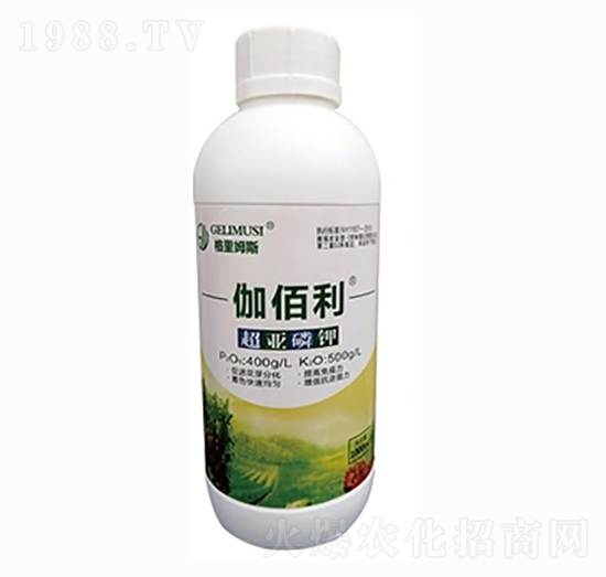 �������-٤����-���r����