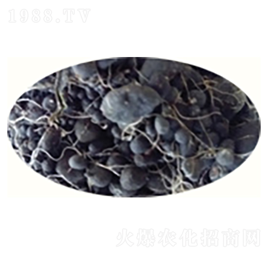 ����������-ԣ����Դ