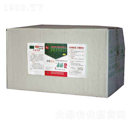 水稻黃化赤枯靈-匯豪農(nóng)化