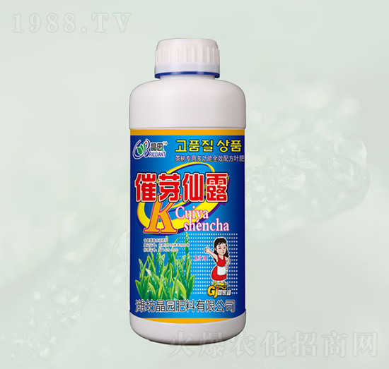 ��ѿ��¶�~���-���@����